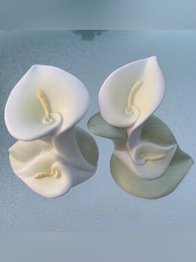 Calla Lily Porcelain Ceramic Salt and Pepper Shakers Set